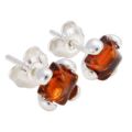 Baltic Honey Amber Earrings "Ellie"