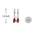 Baltic Honey Amber Drop Earrings in Sterling Silver