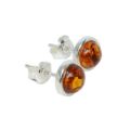 Sterling Silver and Baltic Honey Amber Earrings "Avery"