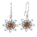 Sterling Silver Baltic Honey Amber Kidney Hook Sun Earrings