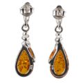 Image of natural amber earrings rear view