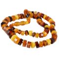 Baltic Multicolored Amber Adult Necklace