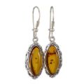 Sterling Silver and Baltic Kidney Hook  Honey Amber Earrings " Devee"