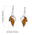 Sterling Silver and Baltic Honey Amber  Post Back Earrings "Charlotte"