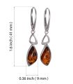 Baltic Honey Amber Drop Earrings in Sterling Silver
