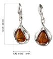 Sterling Silver and Baltic Honey Amber Earrings "Shawn"