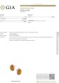 GIA gemological identification report for oval Baltic amber stud earrings, showing cabochon cut, orange color, transparency and lab testing details, official Gemological Institute of America certification document
