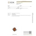 GIA certificate for Image of GIA Certified Sterling Silver and Baltic Honey Amber jewelry with silver setting	Image of GIA Certified Sterling Silver and Baltic Honey Amber  on model's hand side view