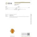 Oval Baltic Honey Amber Ring with silver setting GIA certificate
