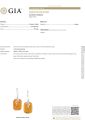 GIA gemological identification report for genuine Baltic amber earrings, lab certified amber stone, transparency and color details shown, official Gemological Institute of America report verifying authentic amber jewelry