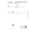 GIA Certified Baltic Amber Bumblebee Pendant Necklace in Sterling Silver