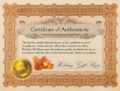 "Aria" Multicolor Baltic Amber Ring in Sterling Silver