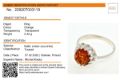 Amber Experts authenticity certificate for genuine Baltic amber jewelry with laboratory identification and certification details.
