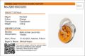 Baltic amber identification micro report showing certified genuine amber pendant, weight 3.08 g, lab verified succinite from Gdańsk Poland with matching Beaming Sun silver pendant