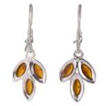 Sterling Silver and Baltic Amber Kidney Hook Honey Amber Earrings