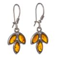 Sterling Silver and Baltic Amber Kidney Hook Honey Amber Earrings