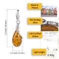 Infographics of natural amber earrings