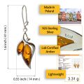 Sterling Silver and Baltic Honey Amber Earrings "Charlotte"