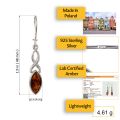 Sterling Silver and Baltic Kidney Hook  Honey Amber Earrings "Iryssa"