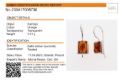 Amber identification micro report certificate verifying genuine Baltic amber rectangular earrings in 925 sterling silver, issued in Gdańsk Poland with Amber Experts laboratory details