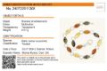 Sterling Silver Multi-Colored Baltic Amber Bracelet, Amber Jewelry Collection