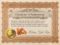 Baltic Honey Amber Cat Adjustable Bracelet in Sterling Silver
