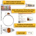 Celtic Knots Baltic Honey Amber Ring in Sterling Silver