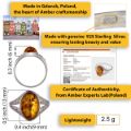 Infographic showing handcrafted Baltic amber jewelry production in Gdańsk, Poland, home of traditional amber craftsmanship