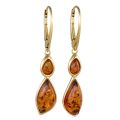 Gold plated 925 sterling silver Baltic honey amber lever back drop earrings for women with genuine honey-colored amber stones on a white background