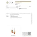 GIA identification report certifying genuine Baltic amber stones for multicolor amber drop earrings in 925 sterling silver