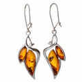 Charlotte Baltic Honey Amber Earrings in Sterling Silver featuring genuine honey Baltic amber gemstones set in polished 925 sterling silver, isolated on a white background.