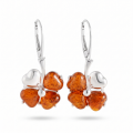 Clover Baltic Honey Amber Earrings in Sterling Silver featuring genuine honey Baltic amber gemstones set in polished 925 sterling silver, isolated on a white background.