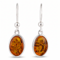 Christy Baltic Honey Amber Earrings in Sterling Silver featuring genuine honey Baltic amber gemstones set in polished 925 sterling silver, isolated on a white background.