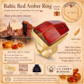 Baltic Red Amber Adjustable Ring in Gold-Plated Sterling Silver infographic highlighting authentic red Baltic amber, gold-plated 925 sterling silver, adjustable design, handcrafted craftsmanship, ring dimensions, and Made in Gdańsk, Poland heritage.